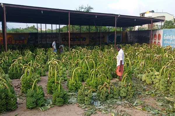 vathalagundu market